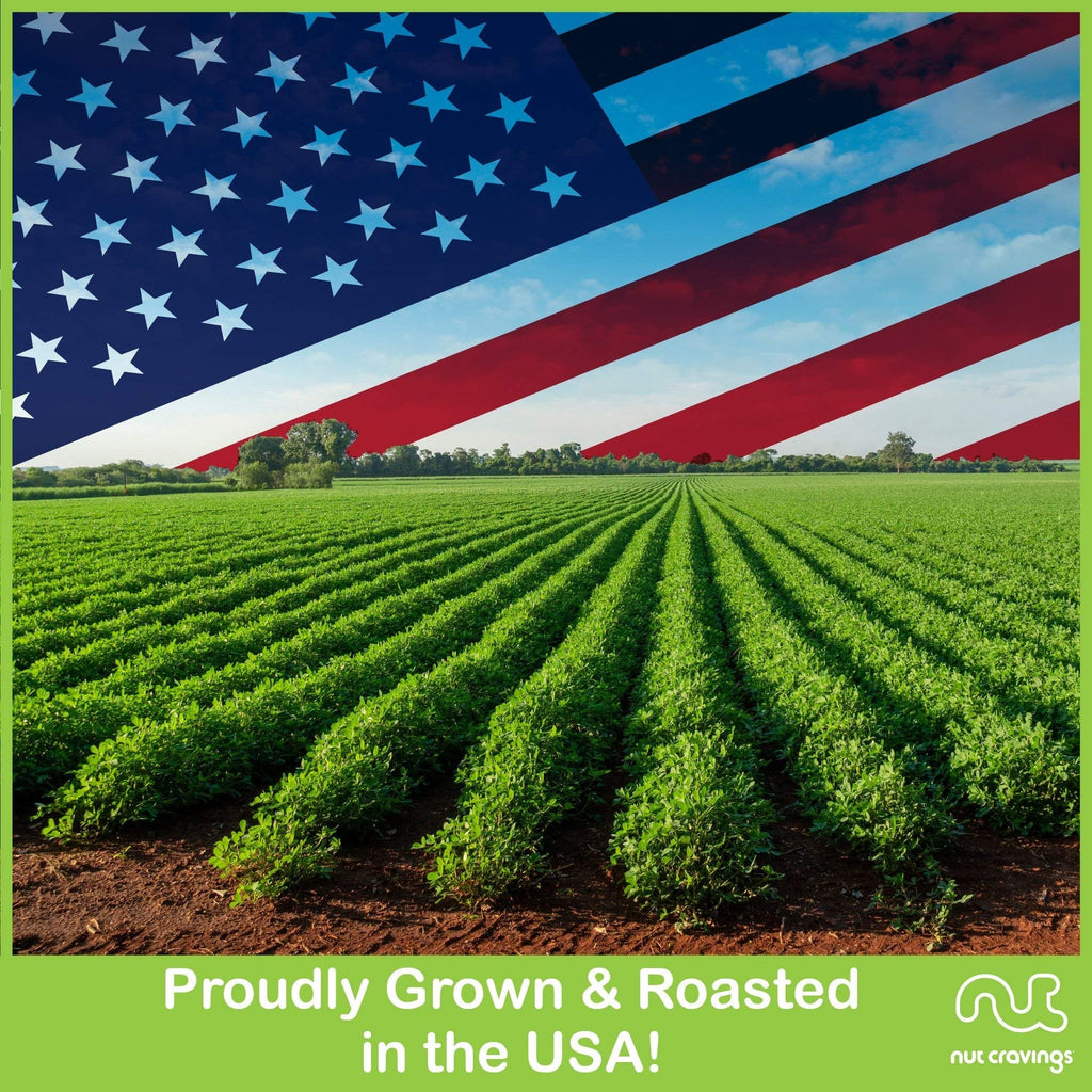 Green Ribbon Nut & Fruit Sectional Tray Medium NCG100010