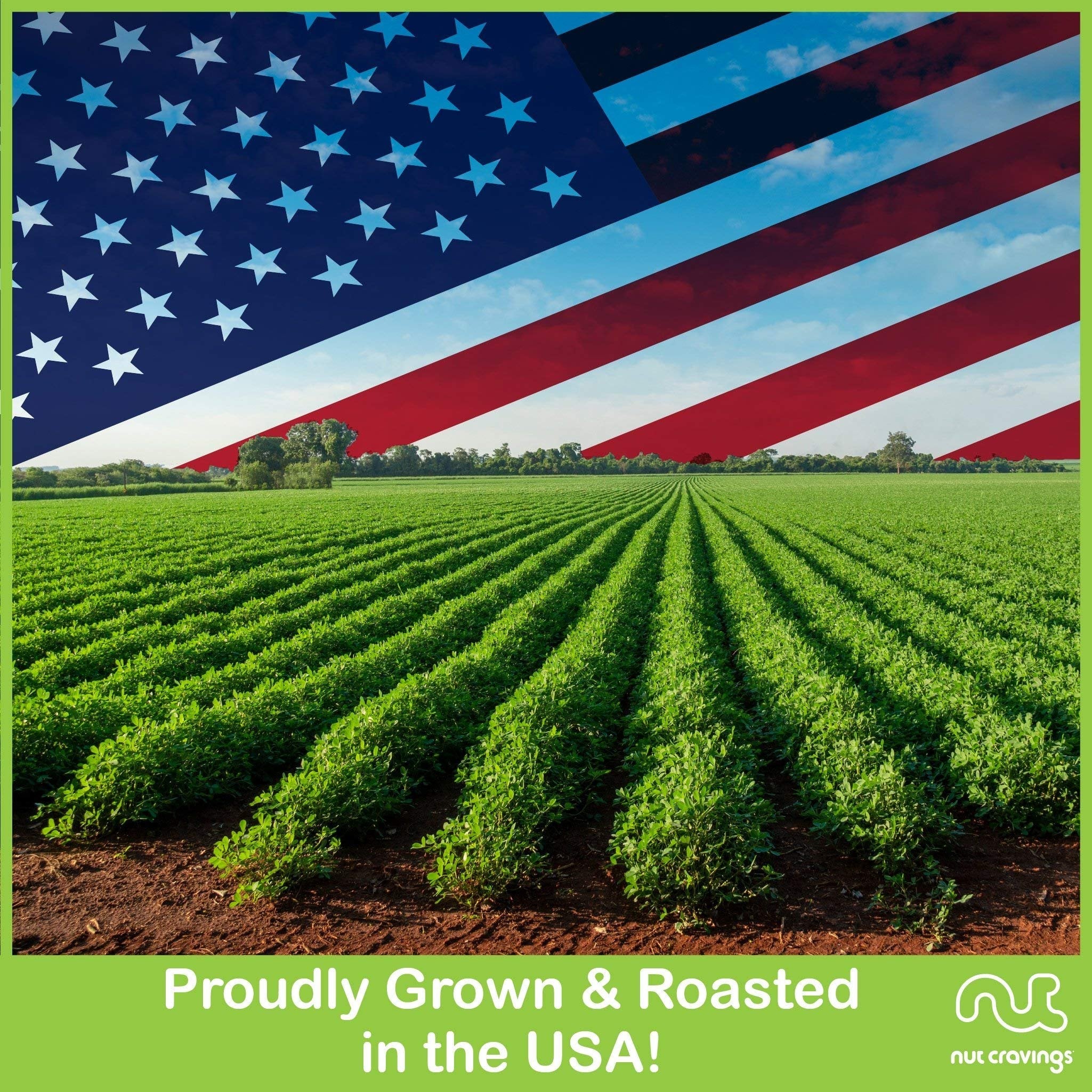 Green Ribbon Nut & Fruit Sectional Tray Medium NCG100010