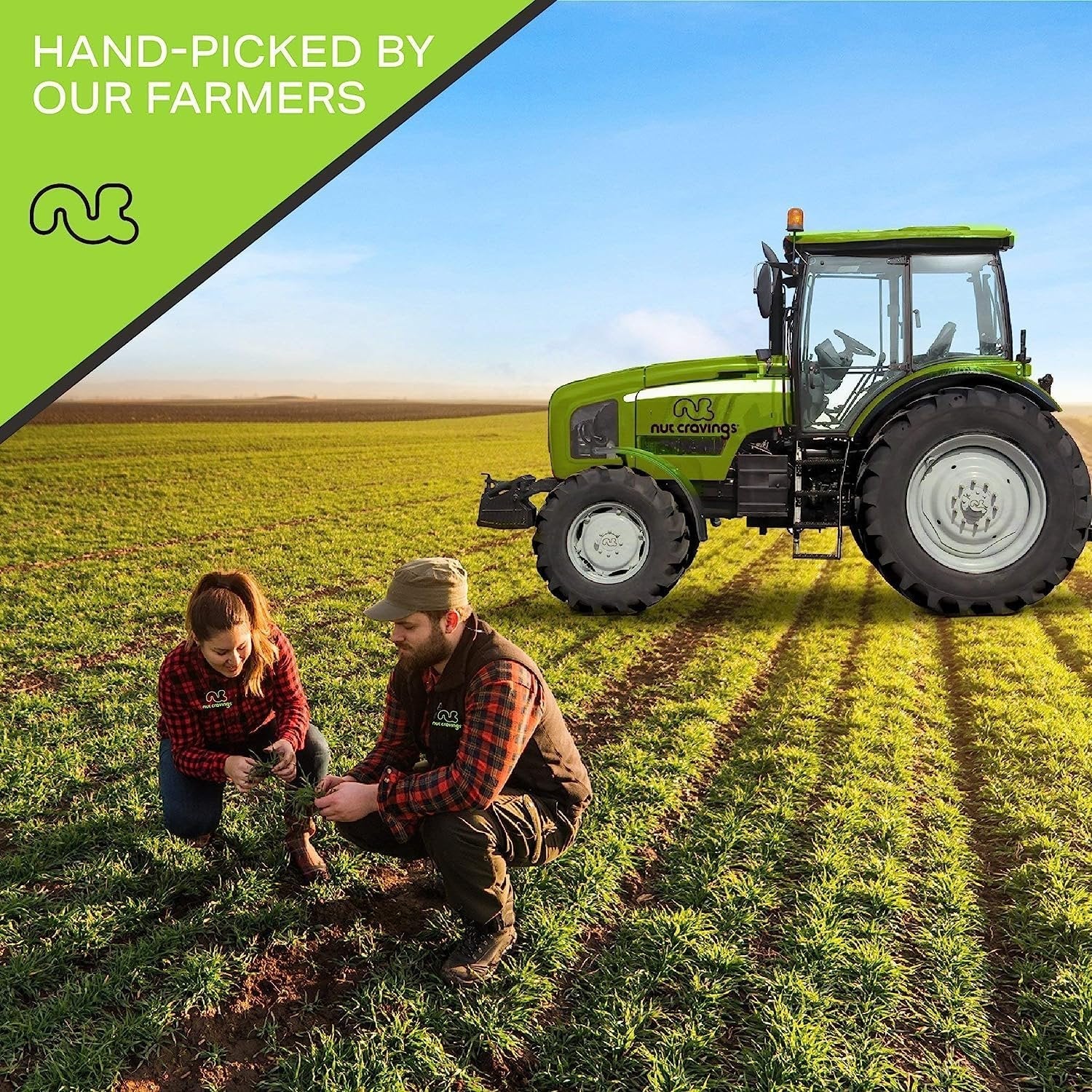 Raw Brazil Nuts (16oz - 2 Pack)