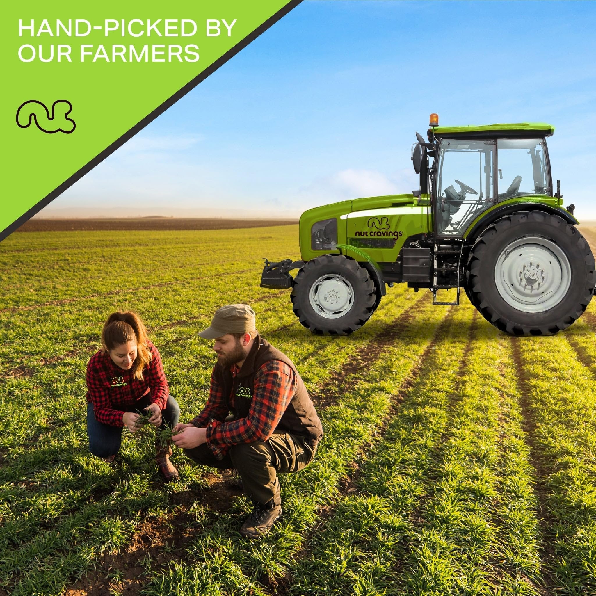 Raw Brazil Nuts In Shell