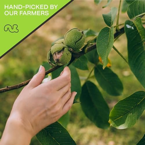 Raw Walnuts Halves & Pieces