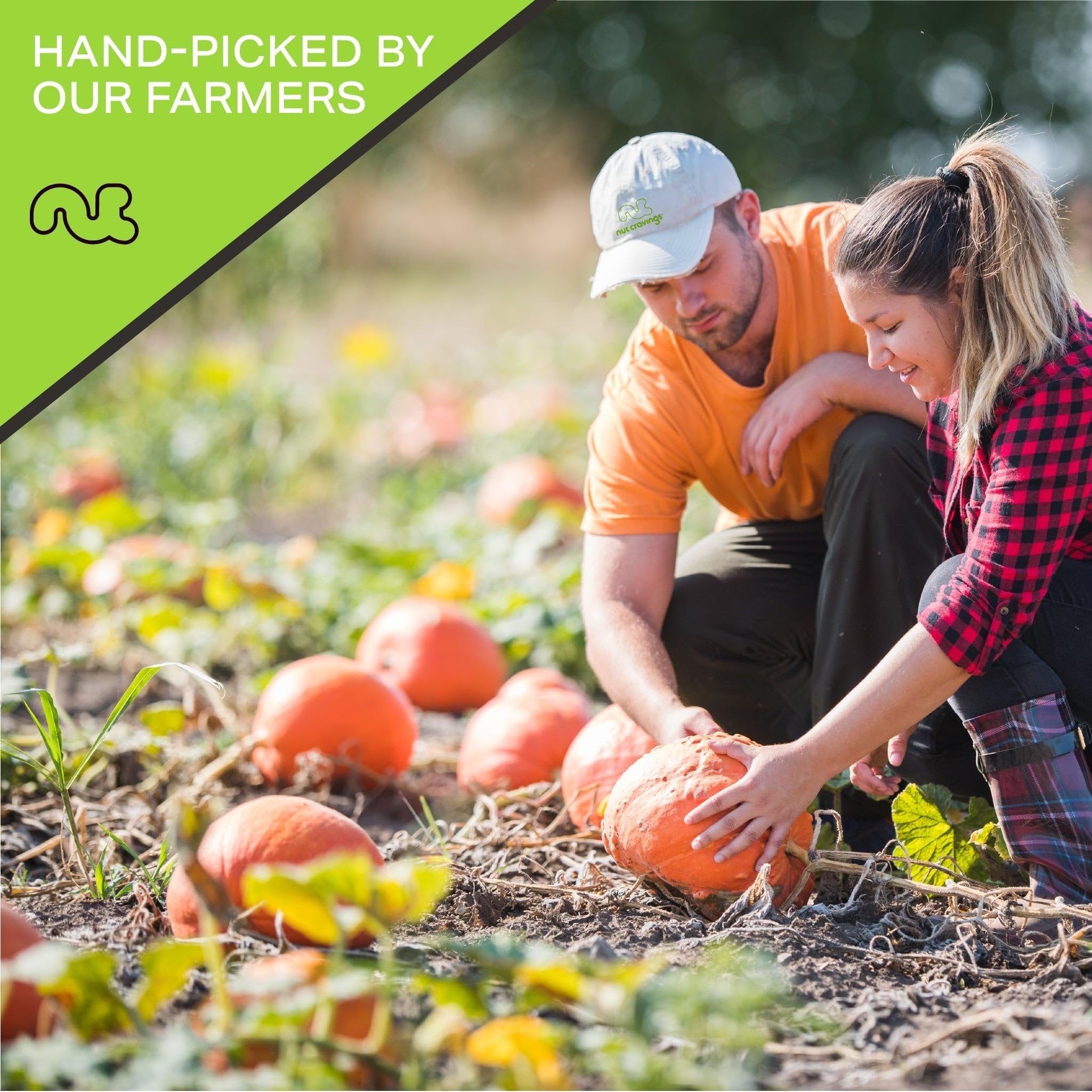 Raw Pumpkin Seeds Pepitas, Unsalted