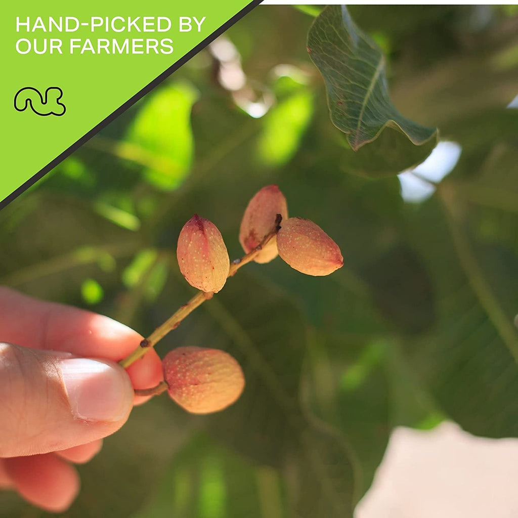 Roasted & Lightly Salted Turkish Pistachios Antep